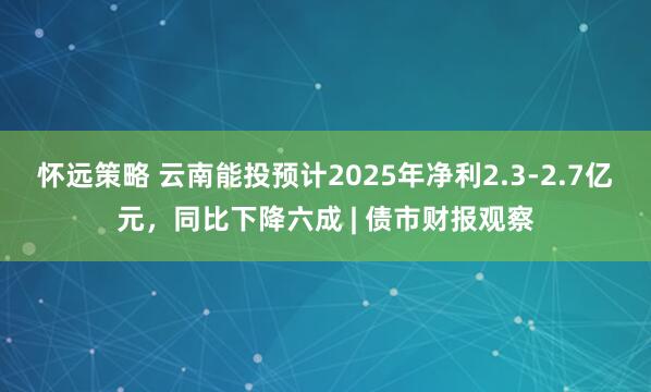 怀远策略 云南能投预计2025年净利2.3-2.7亿元，同比下降六成 | 债市财报观察
